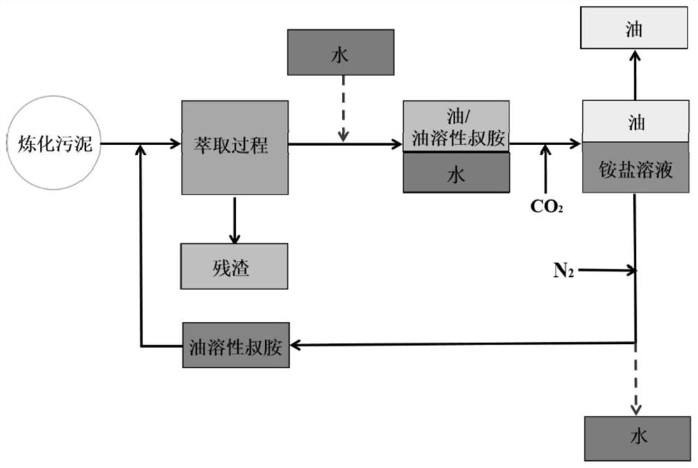 CO2/N2 switching type double-circulation extraction process and application thereof