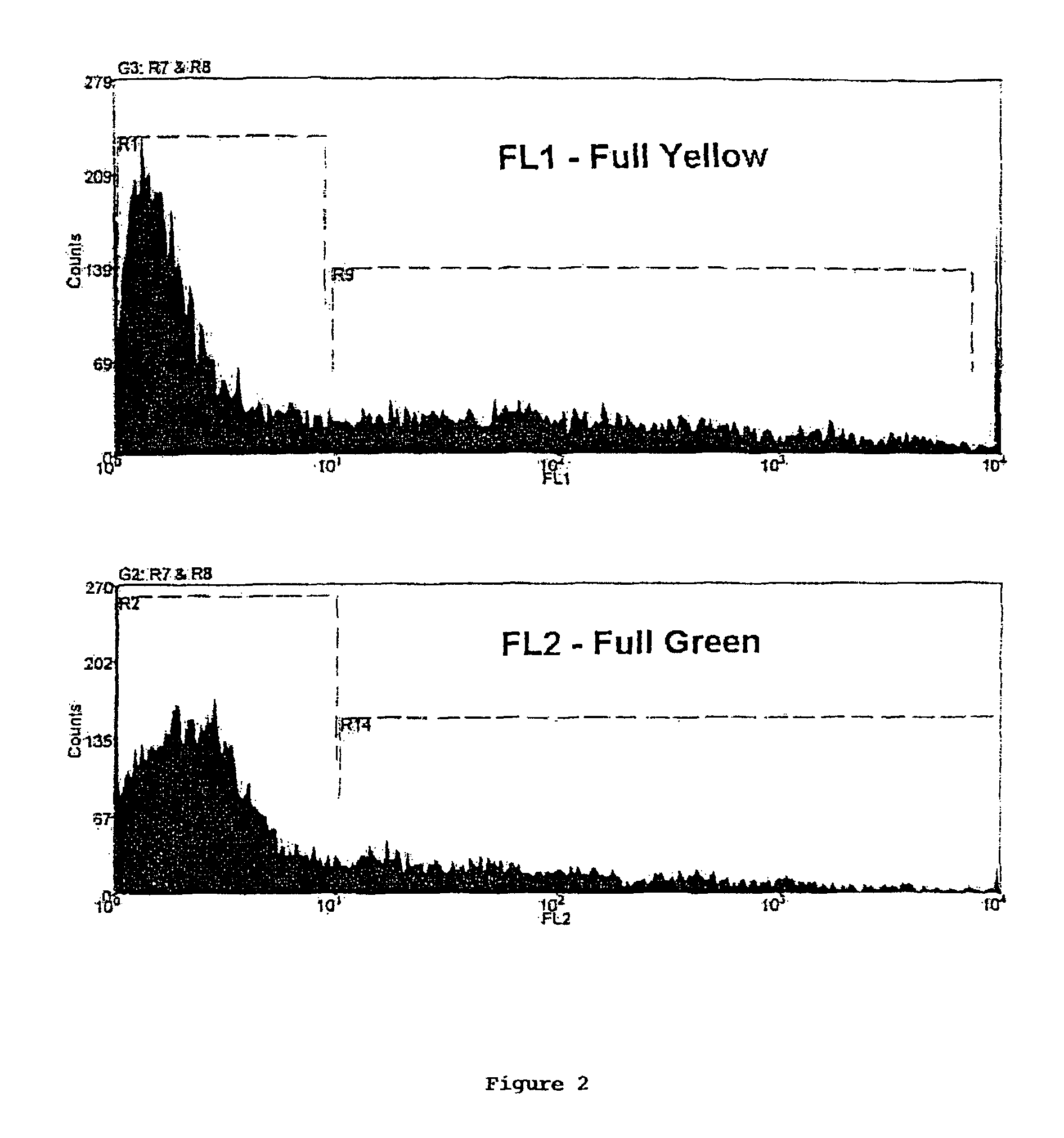 Method of screening multiply transformed cells using bicistronic expression of fluorescent proteins