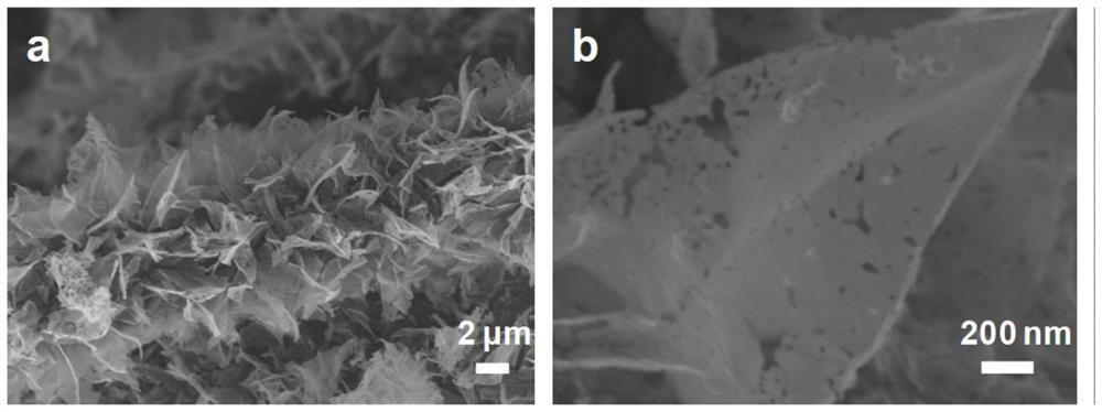 Positive electrode framework structure of metal/metal oxide lithium-sulfur battery