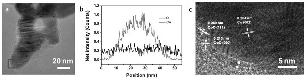 Positive electrode framework structure of metal/metal oxide lithium-sulfur battery