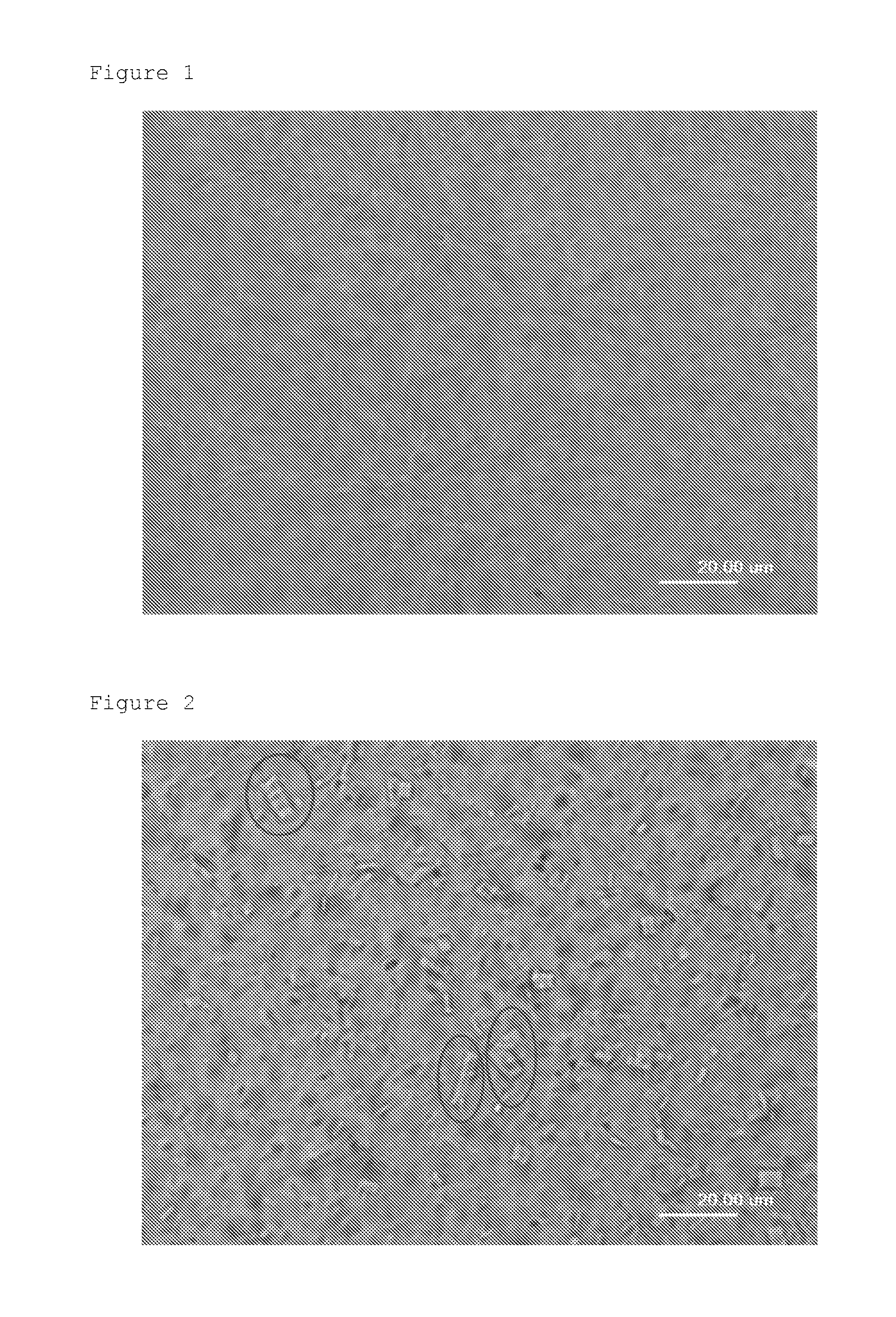 Method for inhibiting crystal growth rate of amide compound and method for producing molded article of polyolefin-based resin