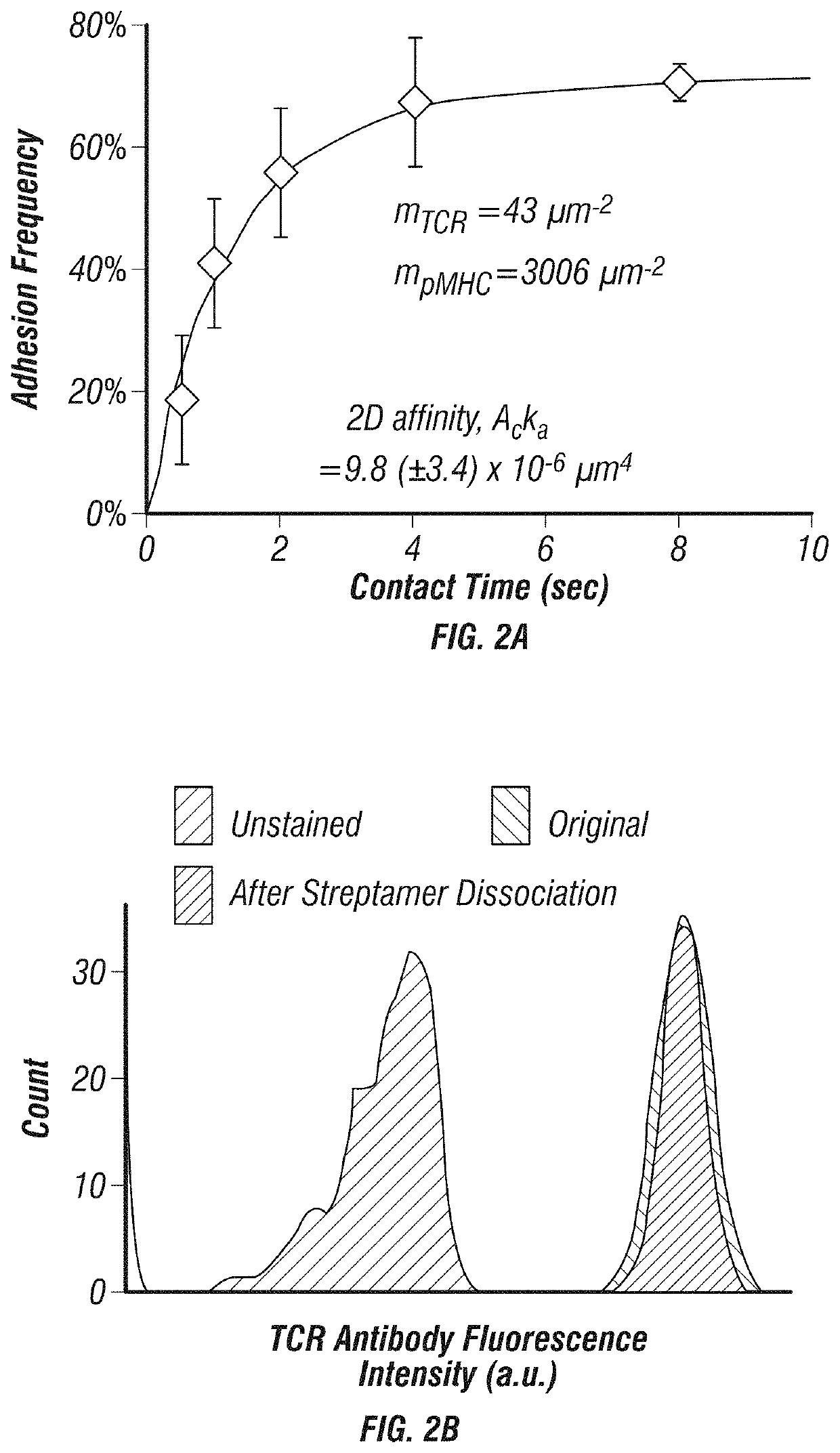 Methods and compositions for detecting single T cell receptor affinity and sequence