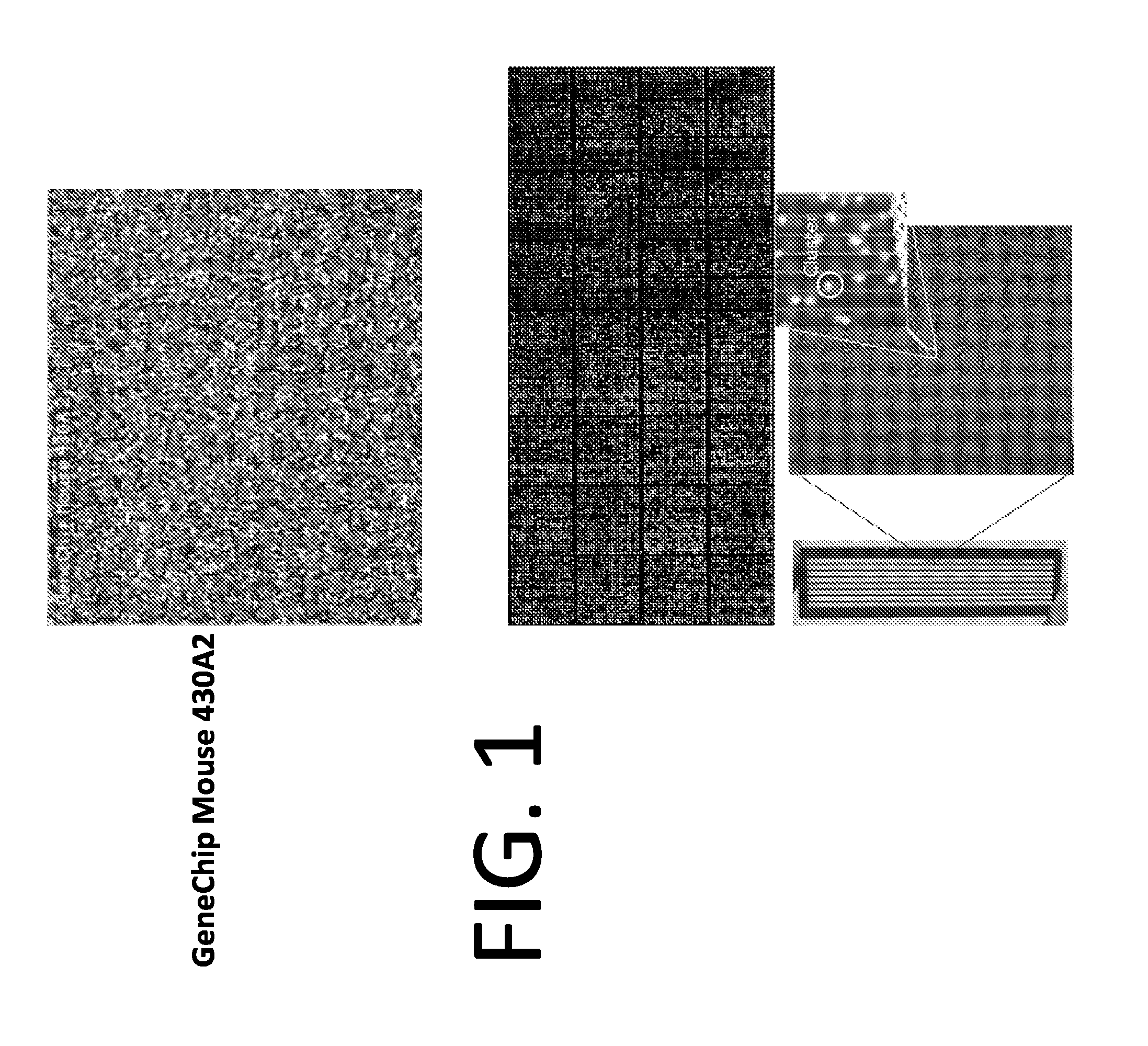 Fabrication of patterned arrays
