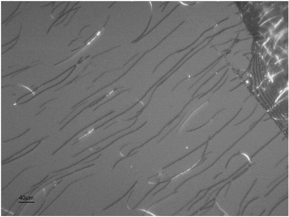 Preparation method for micron silver wires