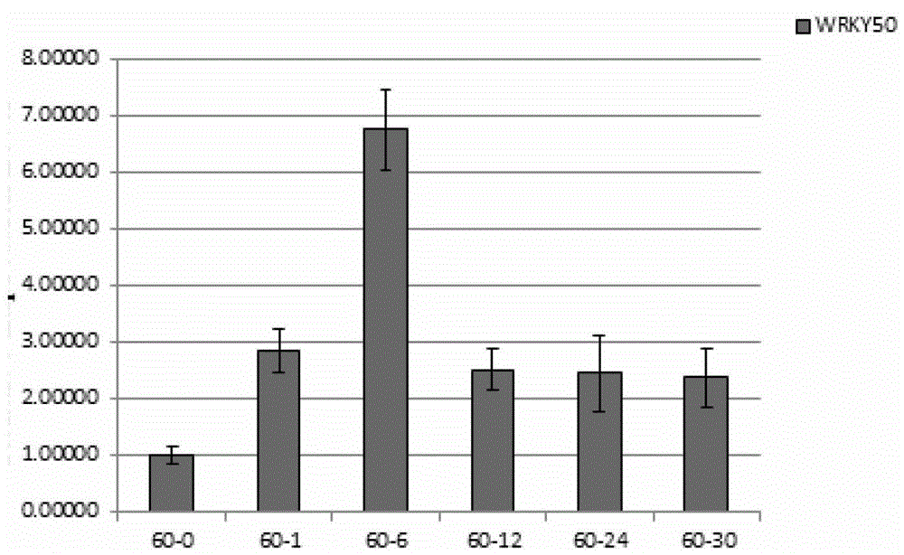 Application of zmwrky50 gene to improve plant aluminum tolerance