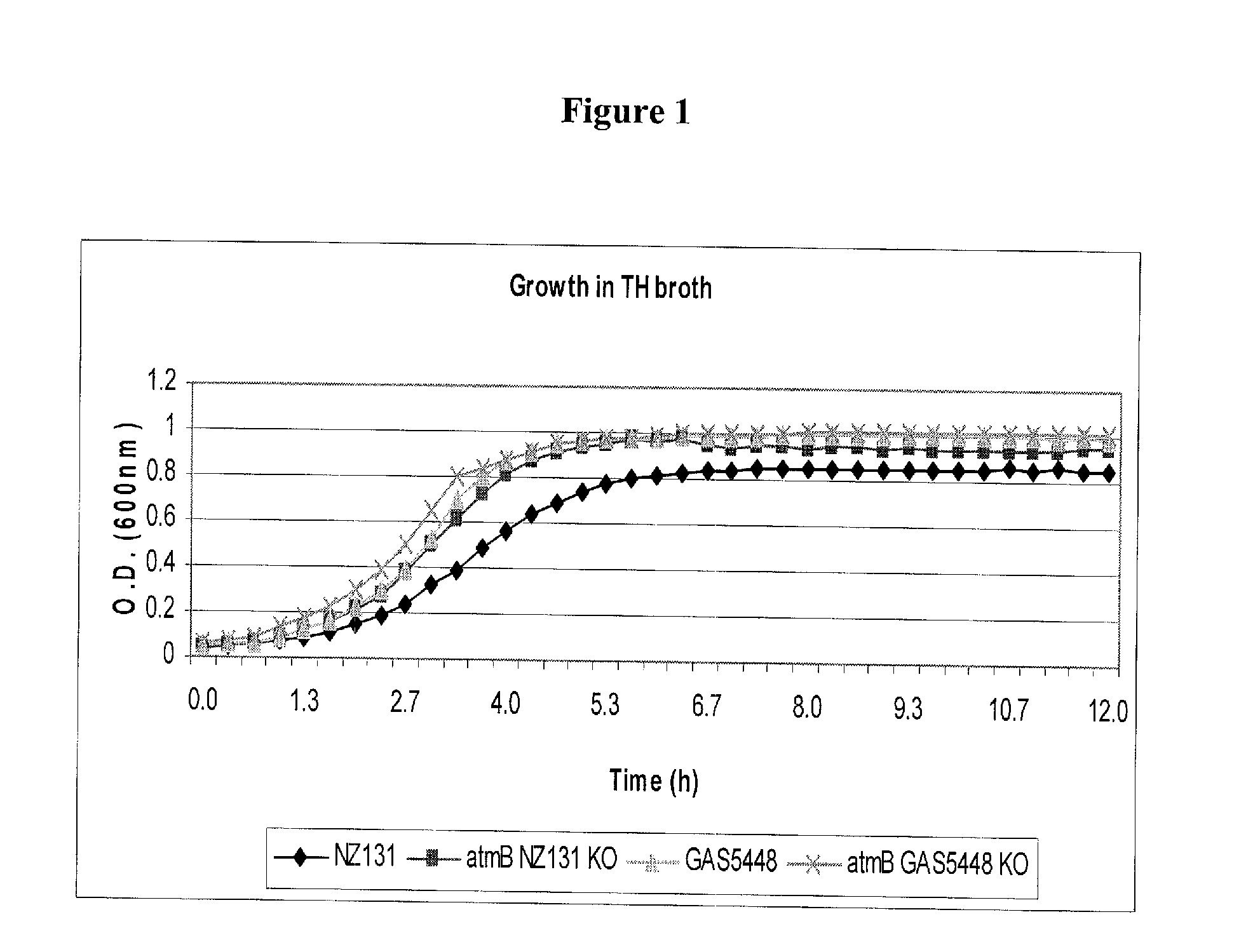 Compositions and methods for treatment of group a streptococci