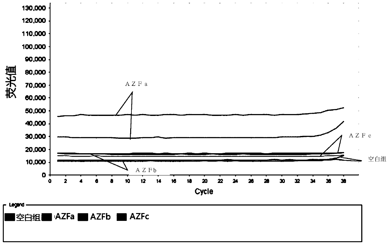 Primer group, kit and detection method based on digital PCR for Y chromosome microdeletion detection