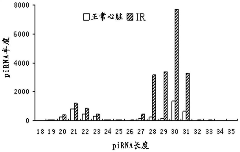 PiRNA combination and its application for detecting heart disease