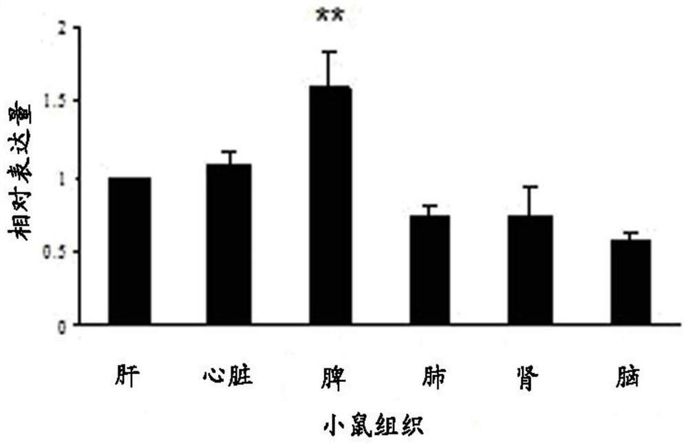 PiRNA combination and its application for detecting heart disease