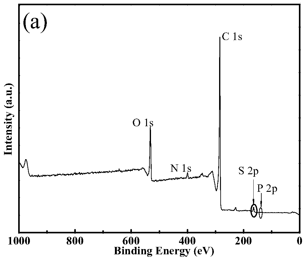 Preparation method of nitrogen-sulfur-phosphorus doped porous graphene oxide material and application of nitrogen-sulfur-phosphorus doped porous graphene oxide material
