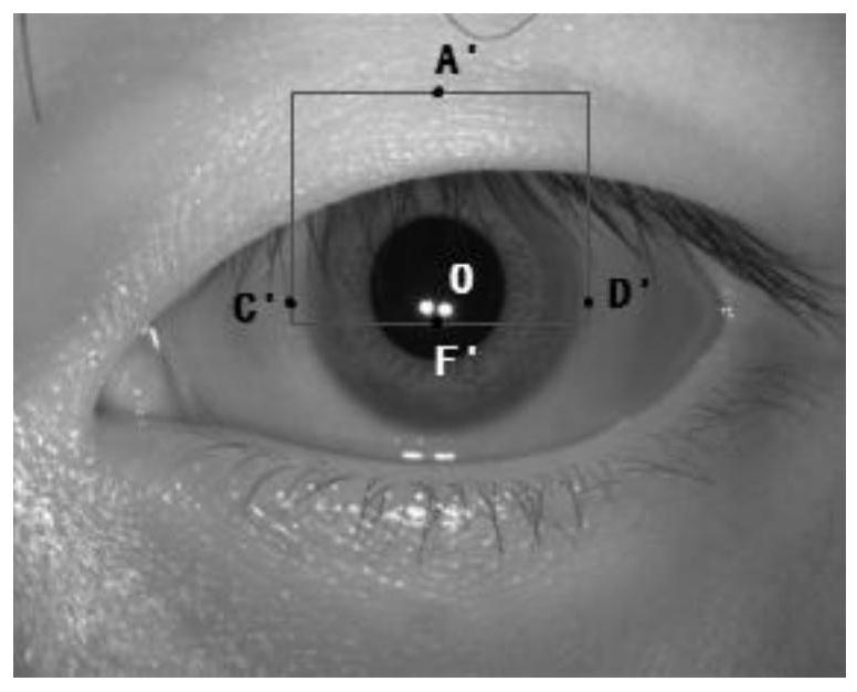 Fast eyelid detection method and system based on gabor filter