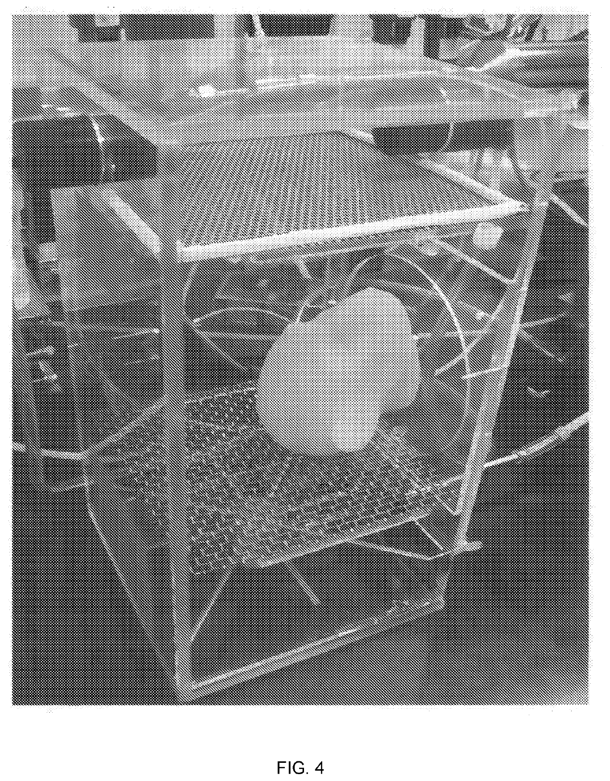 Head-Only and/or Whole Body Inhalation Exposure Chamber