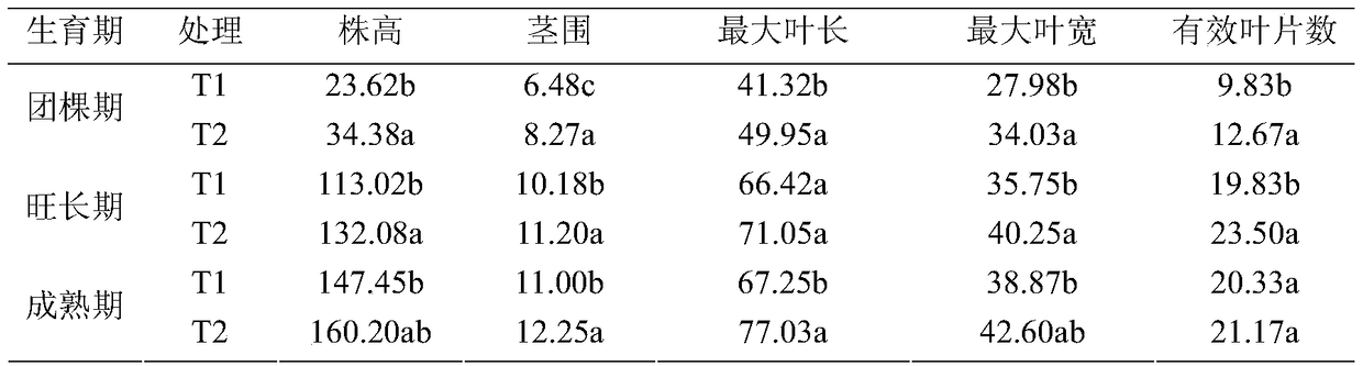 A compound growth-promoting agent for promoting tobacco growth