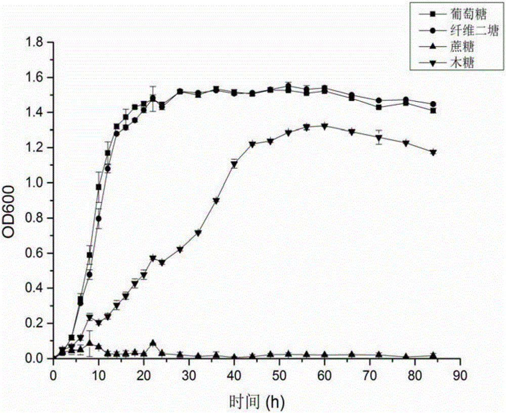 Thermoanaerobacterium thermosaccharolyticum and application thereof to biological hydrogen production