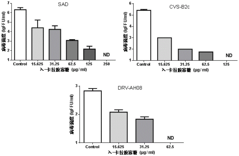 Use of λ-carrageenan oligosaccharides in the preparation of anti-rabies virus drugs