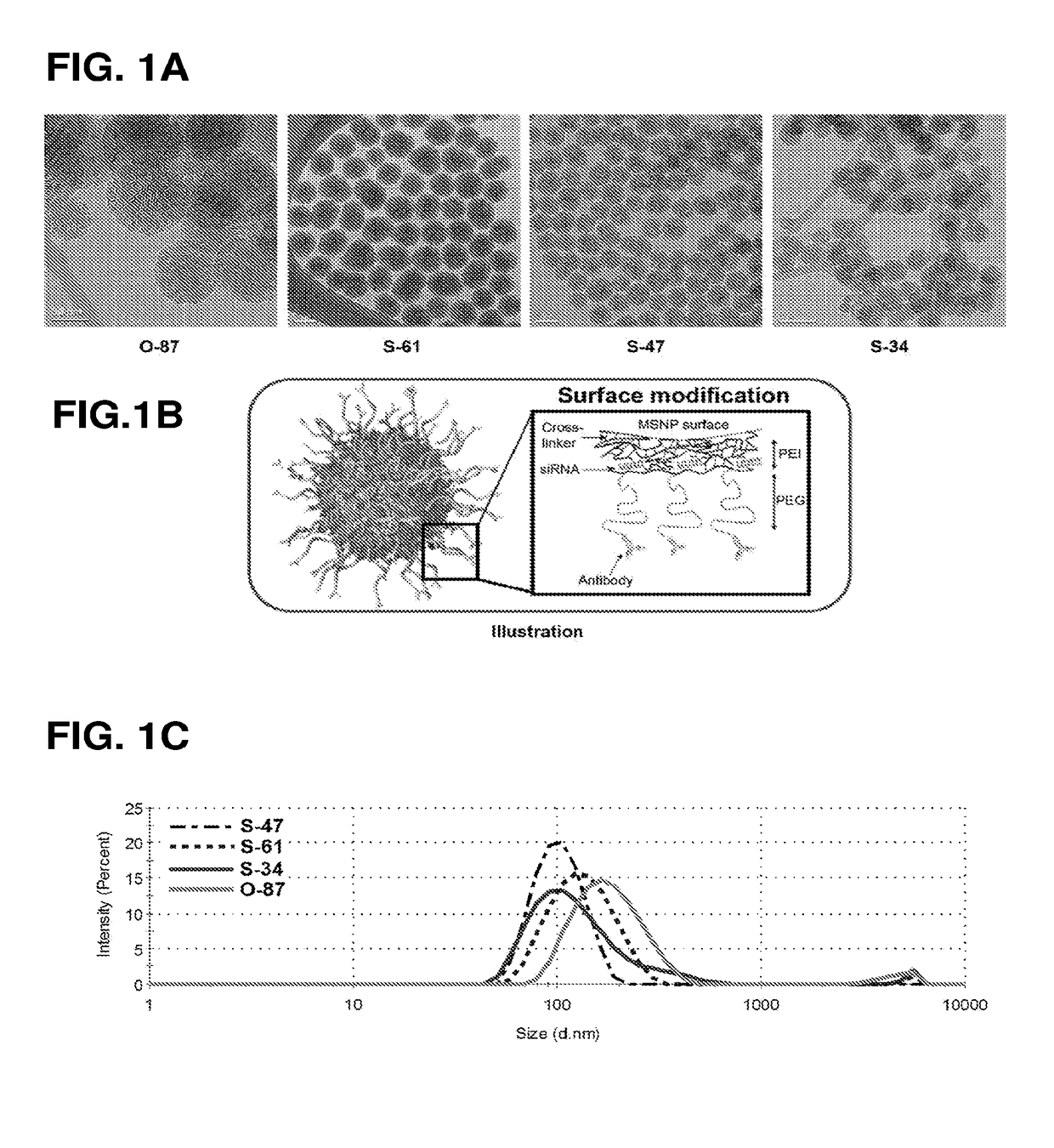 Cross-linked polymer modified nanoparticles