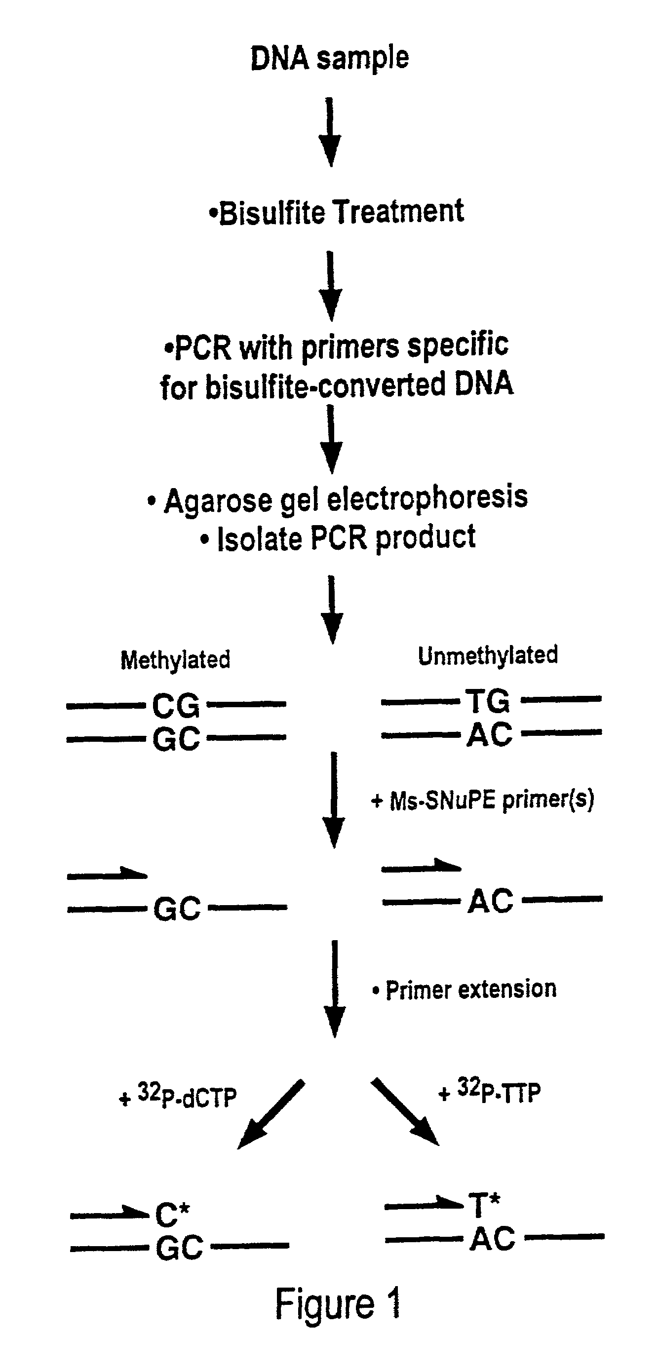 Cancer diagnostic method based upon DNA methylation differences