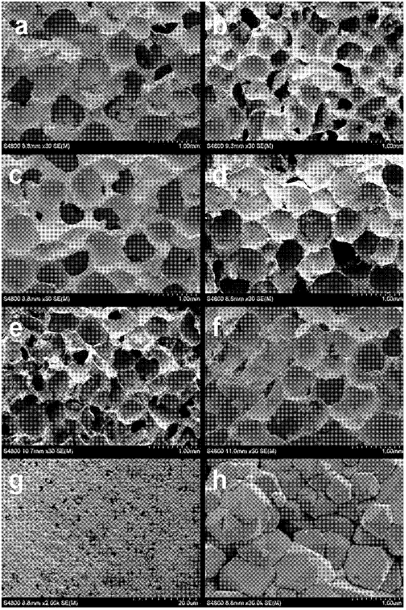Magnetic nanoparticle/calcium phosphate ceramic composite porous material and preparation method thereof