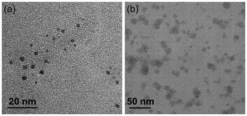 Preparation method and application of carbon quantum dot nano assembly