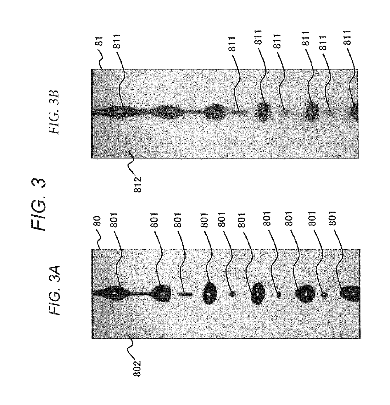 Particle sorting device, particle sorting method, program, and particle sorting system