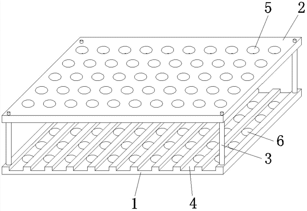 Vertical arabidopsis cultivating rack