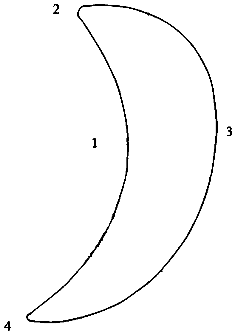 Numerical control programming method and apparatus for blade rotary milling process