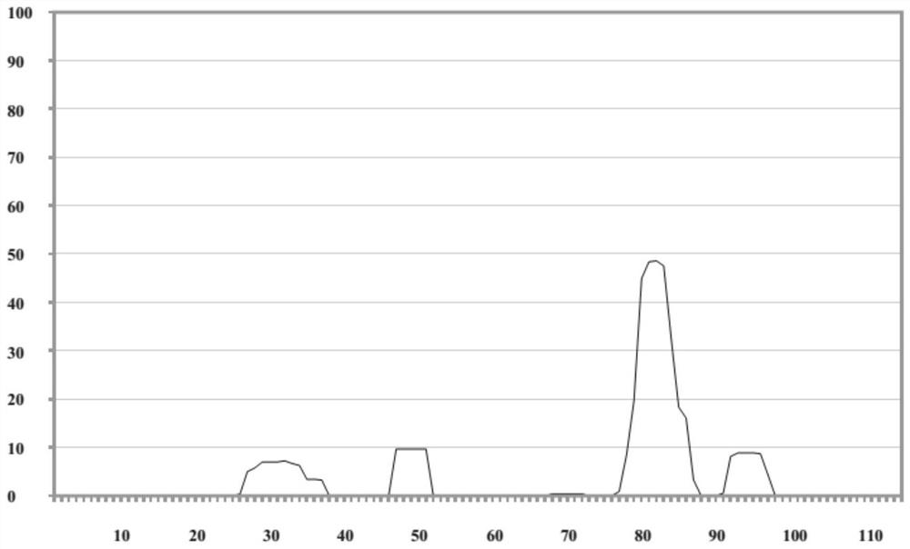 Murine monoclonal antibody to Zika virus envelope protein