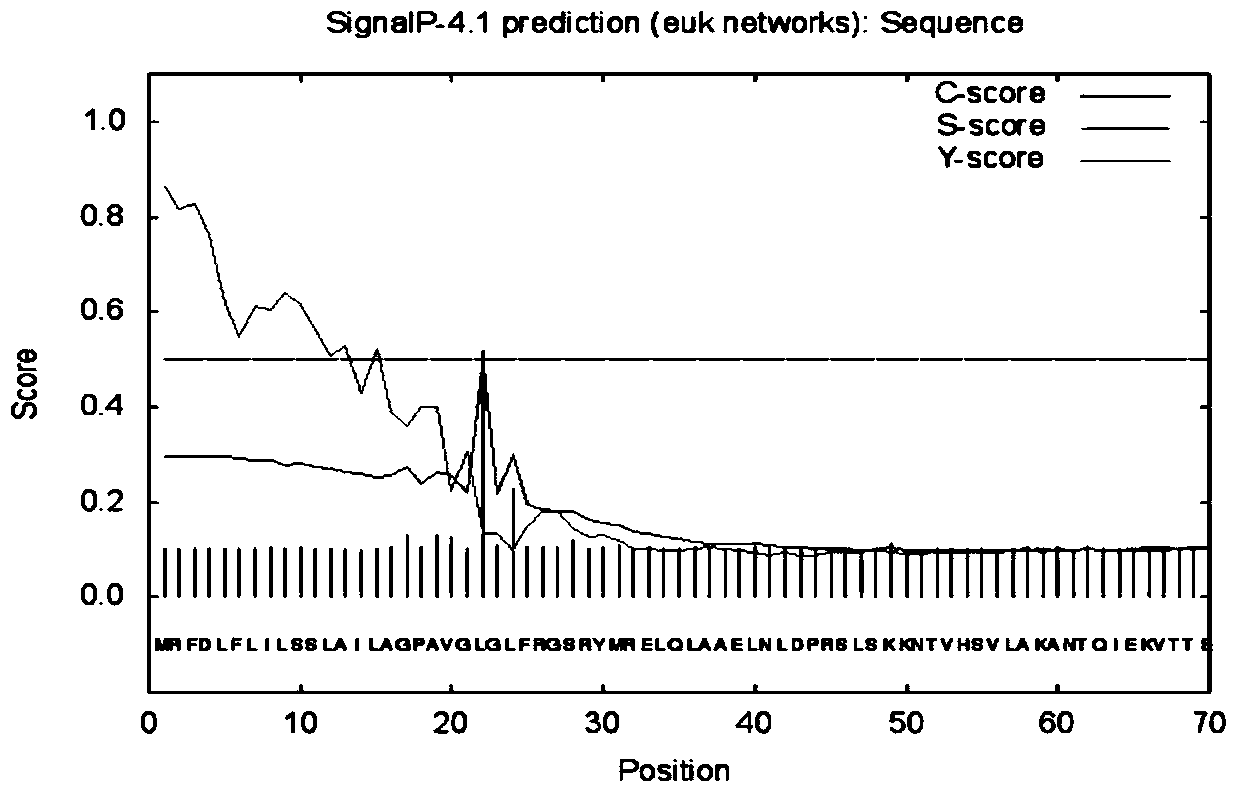 Novel proline specific endoprotease gene and application thereof