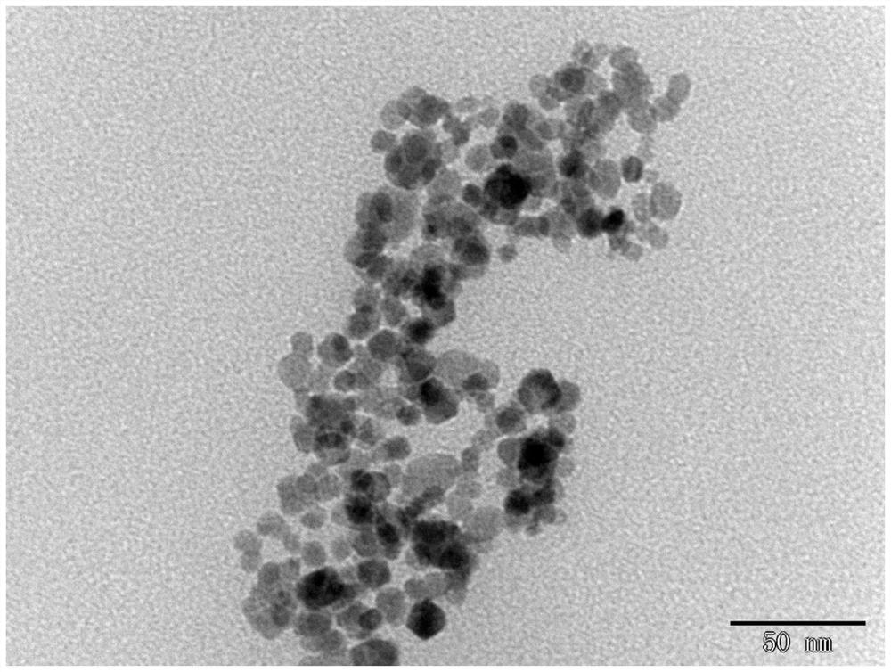 Nucleic acid aptamer-molecular imprinting cooperative recognition magnetic microspheres and its preparation method and application