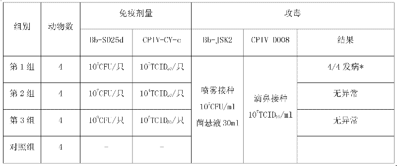 Canine infectious tracheobronchitis bivalent live vaccine and preparation method thereof