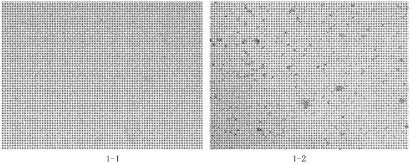 Canine infectious tracheobronchitis bivalent live vaccine and preparation method thereof