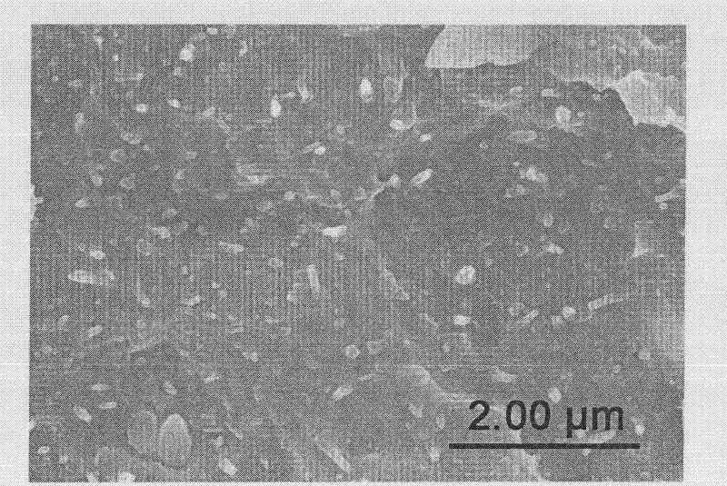 Rubber nano short fiber composite material for automobile tire and preparation method thereof
