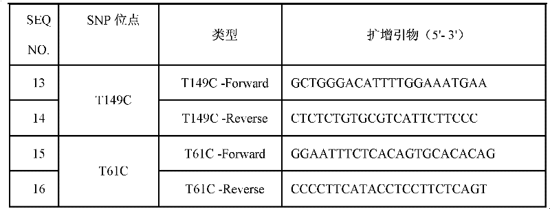 Specific primers and liquid phase chip for polymorphic detection of human hedgehog interacting protein (HHIP) gene