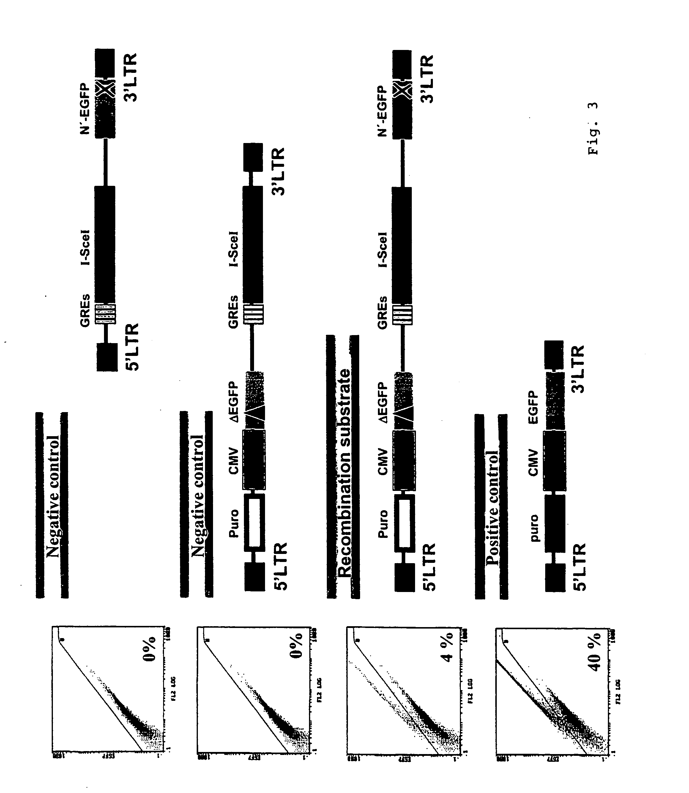 Test system for determining gene toxicities