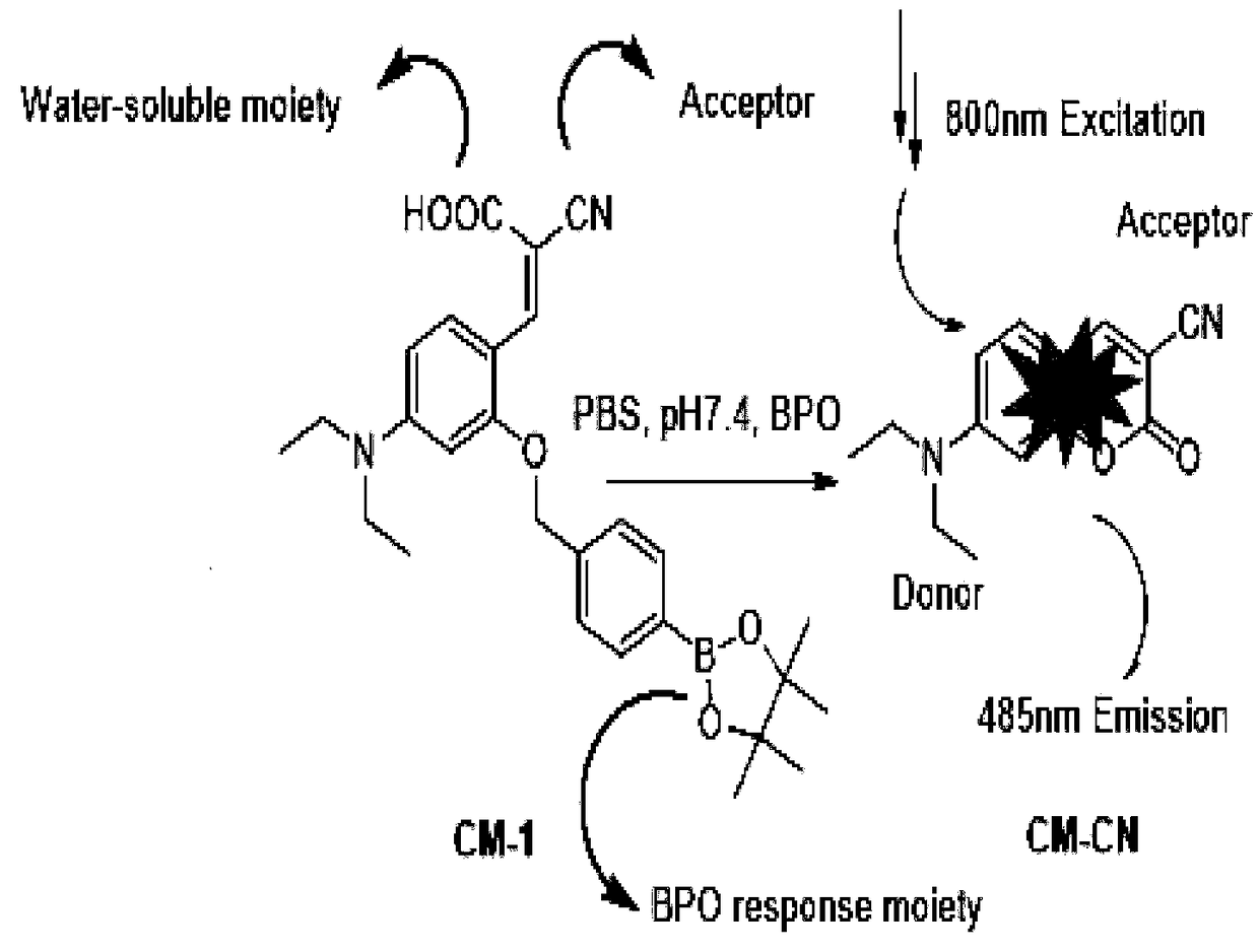 Soluble two-photon fluorescent probe for detecting benzoyl peroxide in flour and living bodies and preparation method and application thereof