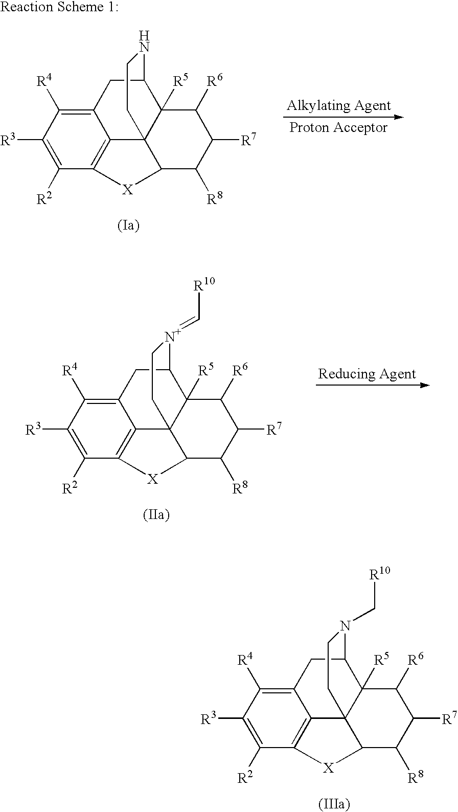 Process for the Reductive Alkylation of Normorphinans