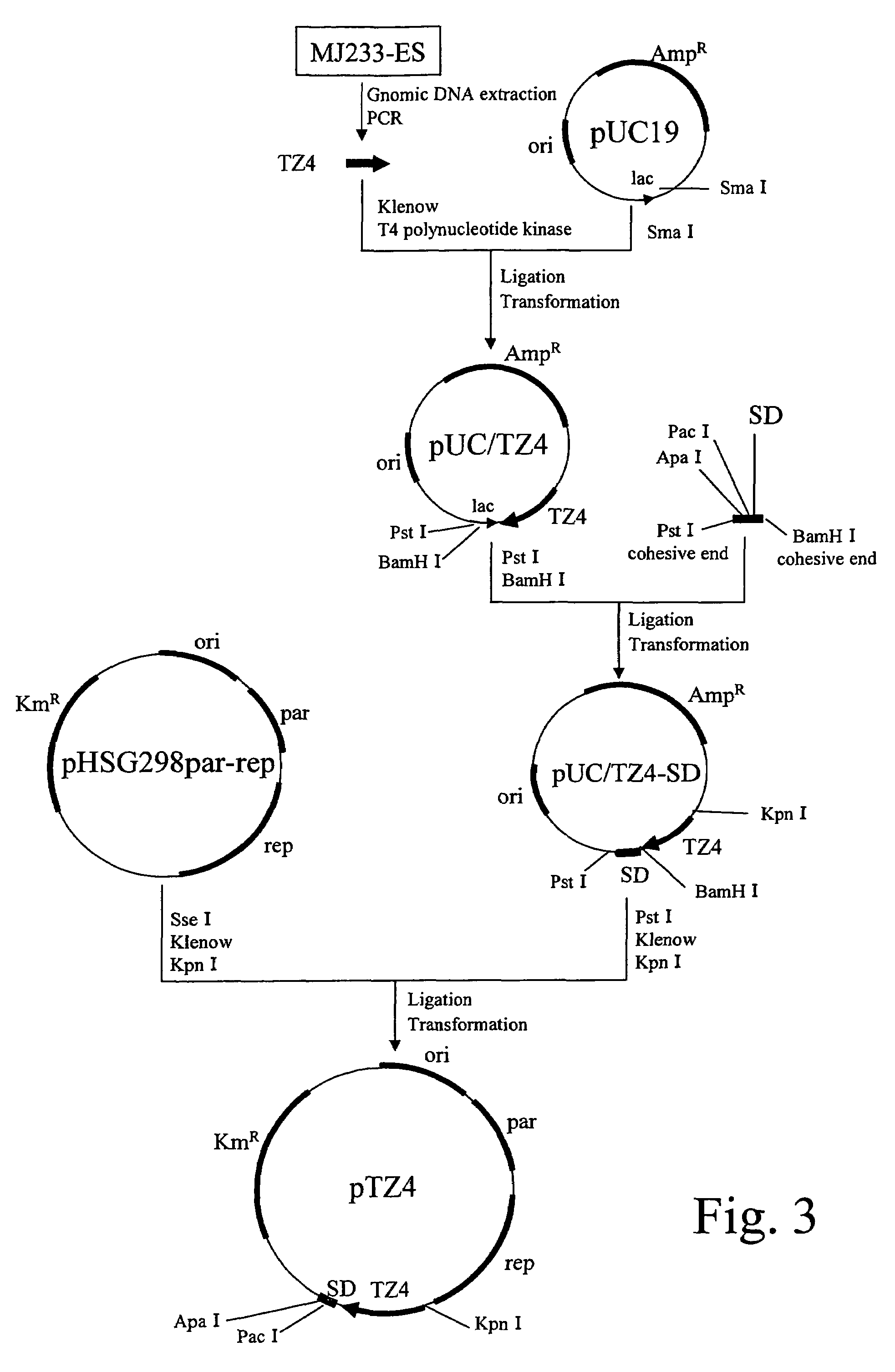 Method for producing non-amino organic acid