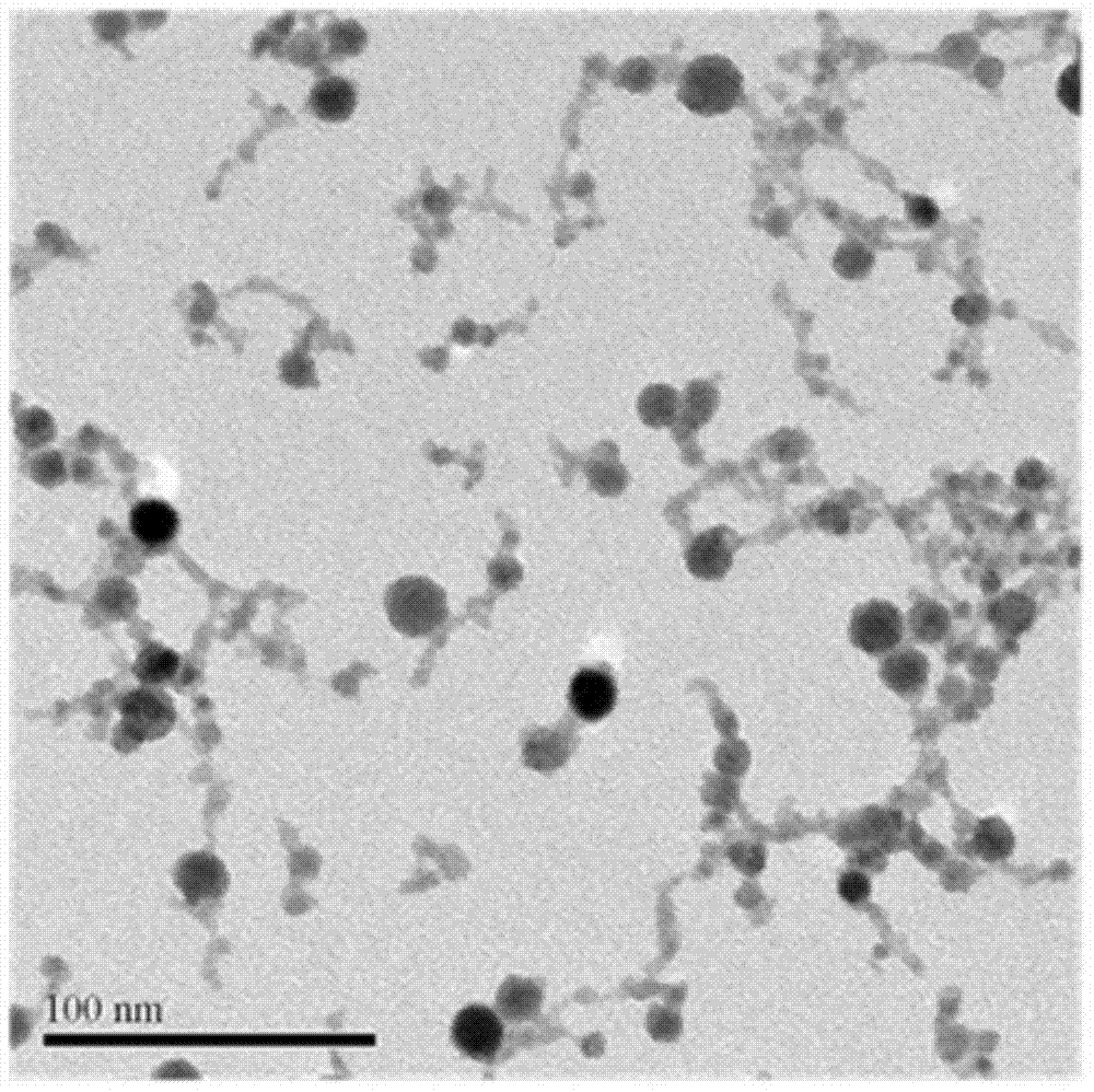 Preparation method of nano rear earth doped gadolinium oxide bi-modal contrast medium