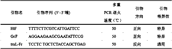 Molecular-specific marker primers and methods for identifying Houttuynia cordata and Baibu Huanhun