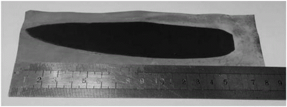 Method of manufacturing integrated electrode with three-dimensional conductive network