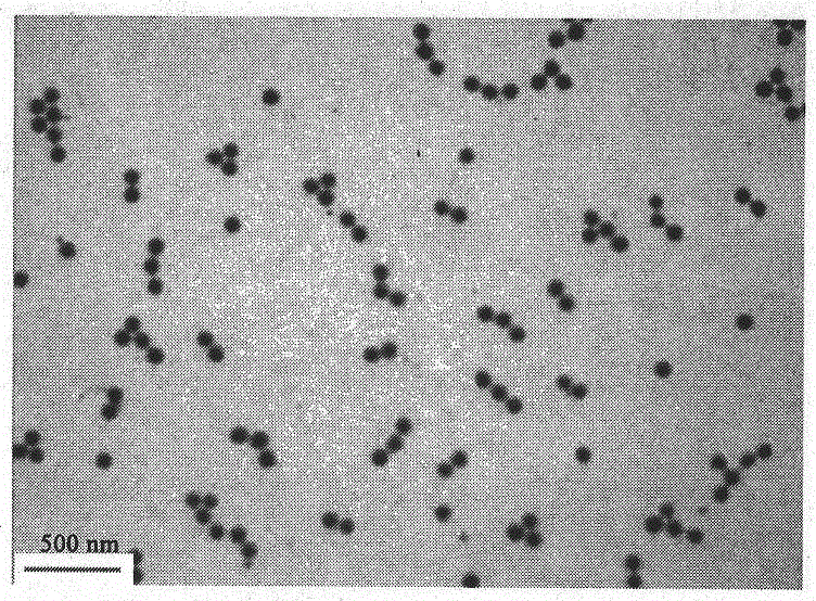 A kind of surface functionalized micro-nano polymer gel particle and preparation method thereof