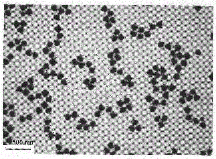 A kind of surface functionalized micro-nano polymer gel particle and preparation method thereof