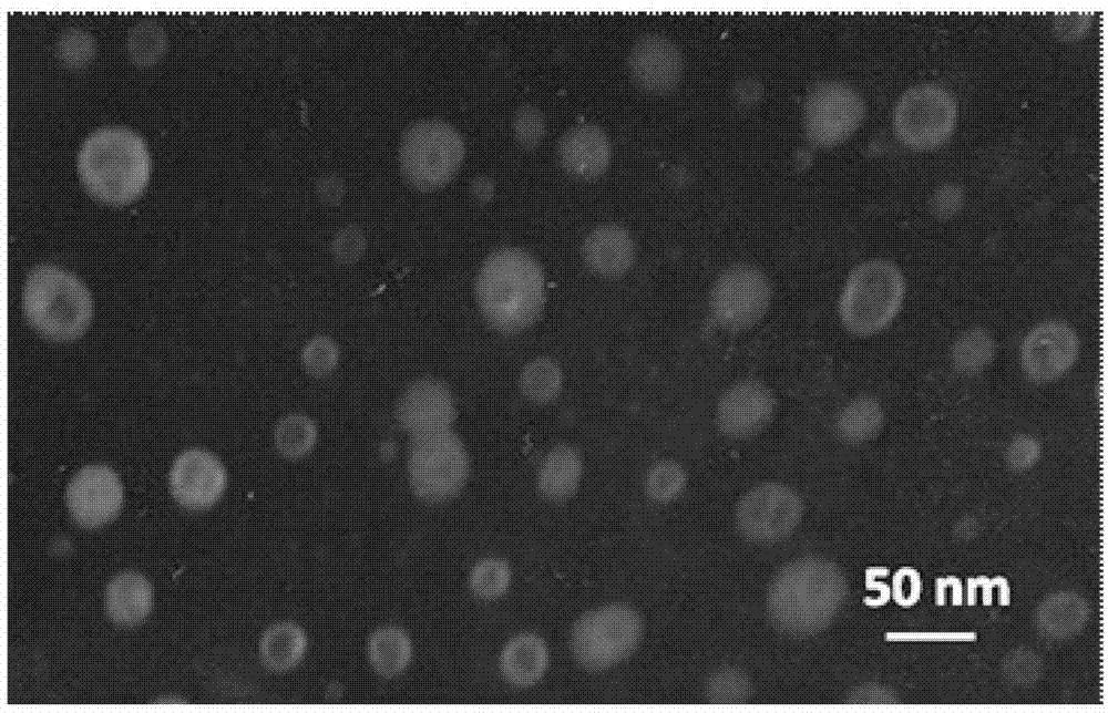 Folic acid modified quercetin lipid nano-capsule preparation and preparation method thereof