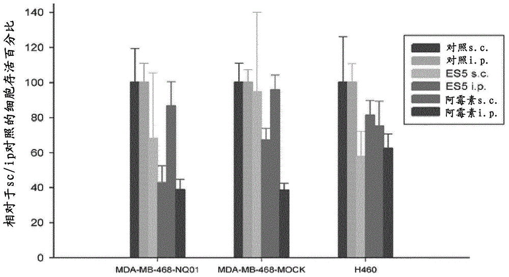 Quinone compounds and their uses for the treatment of cancer