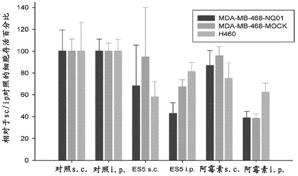 Quinone compounds and their uses for the treatment of cancer