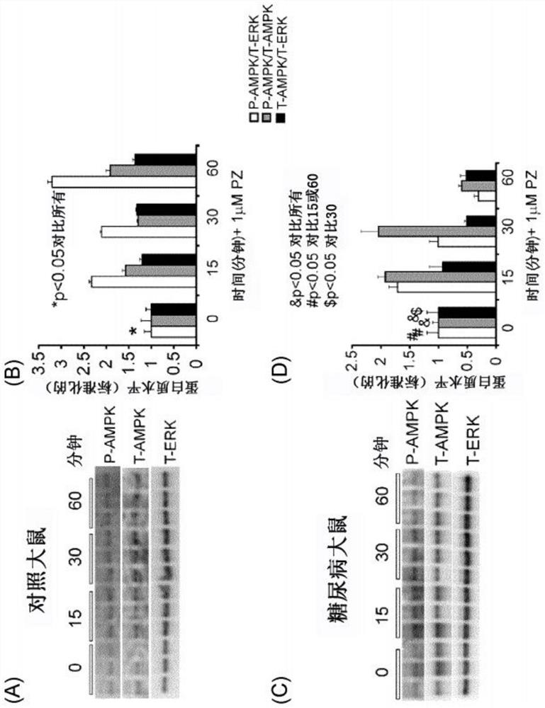 Methods and compositions for treatment of peripheral neuropathies