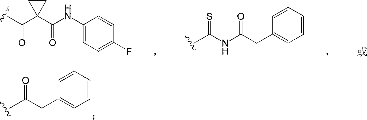 Pyridino five-membered heterocyclic derivative as well as preparation method and applications thereof