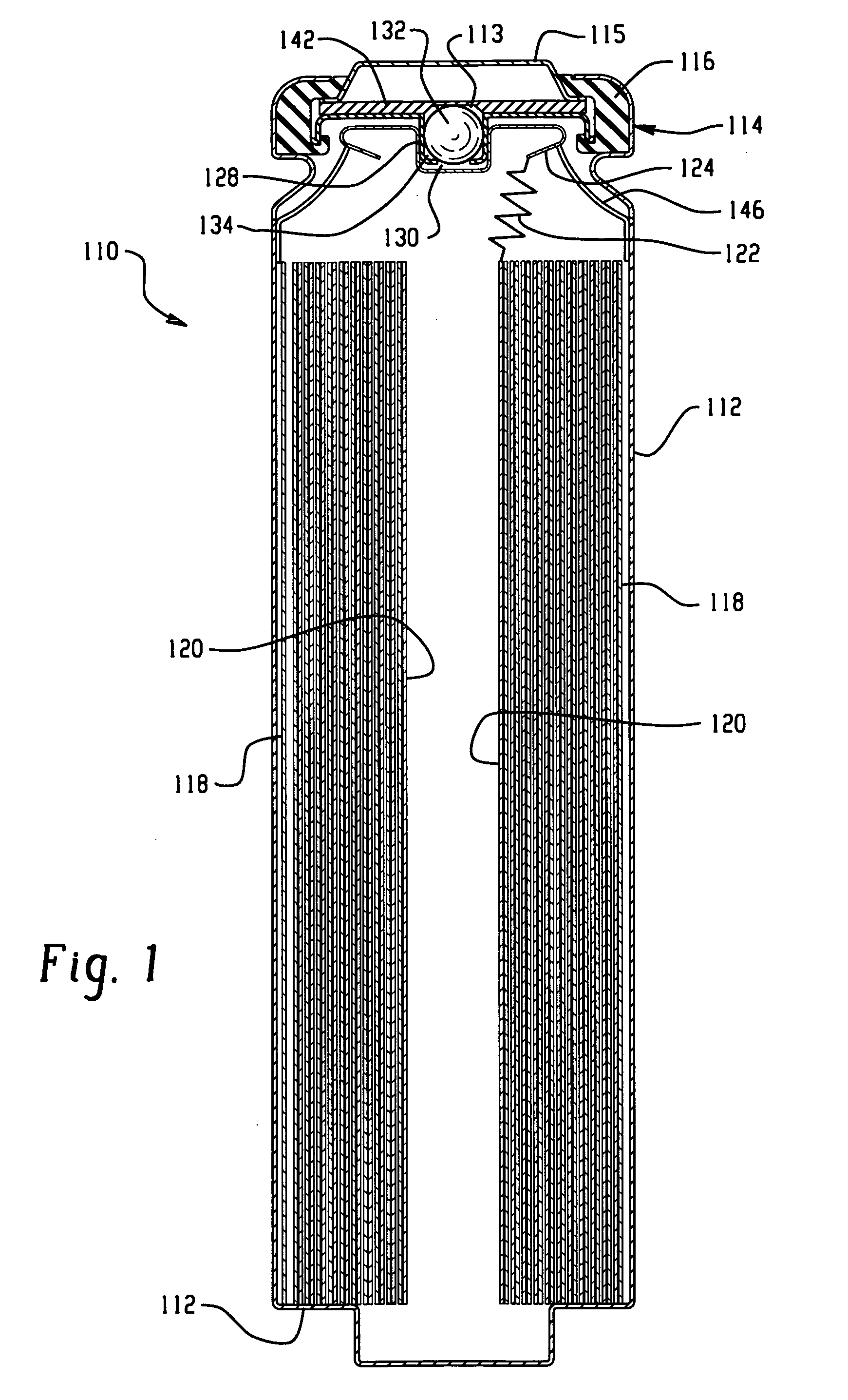 Electrochemical cell with positive container