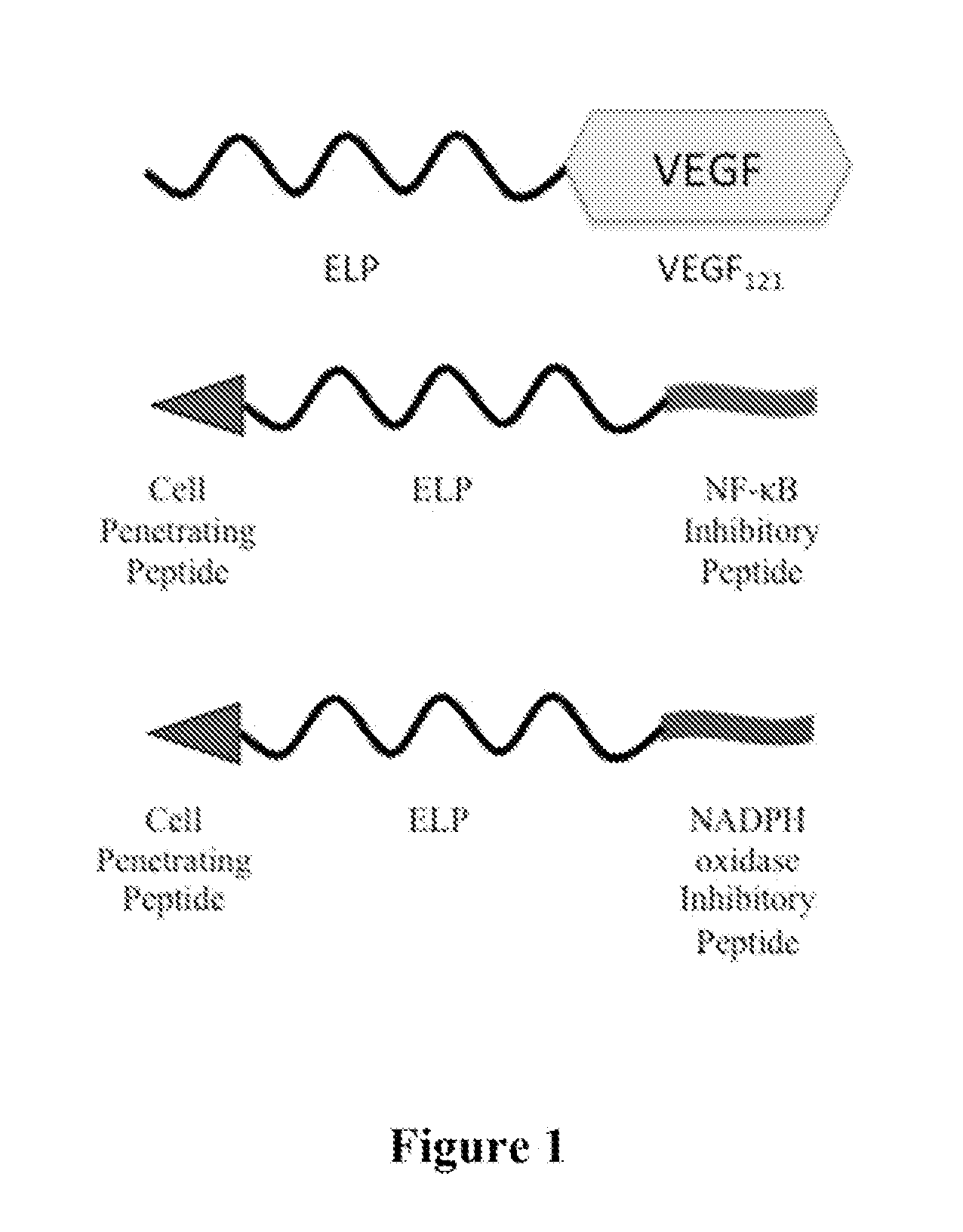 Composition and Method for Therapeutic Agent Delivery During Pregnancy