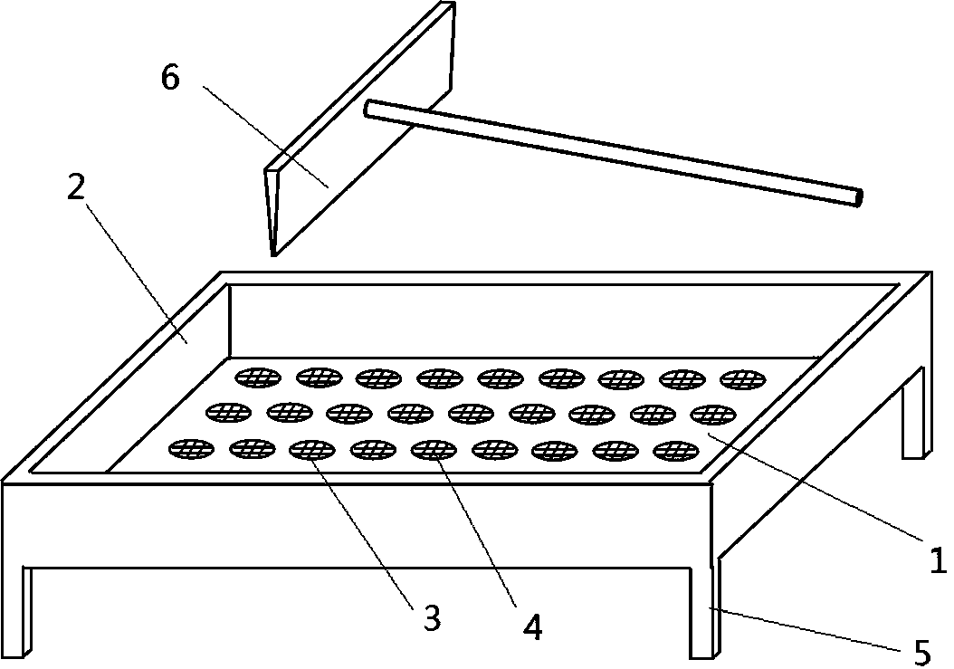 Tobacco bare seed seeding device and method